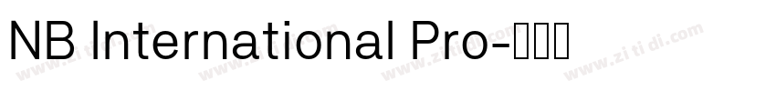 NB International Pro字体转换